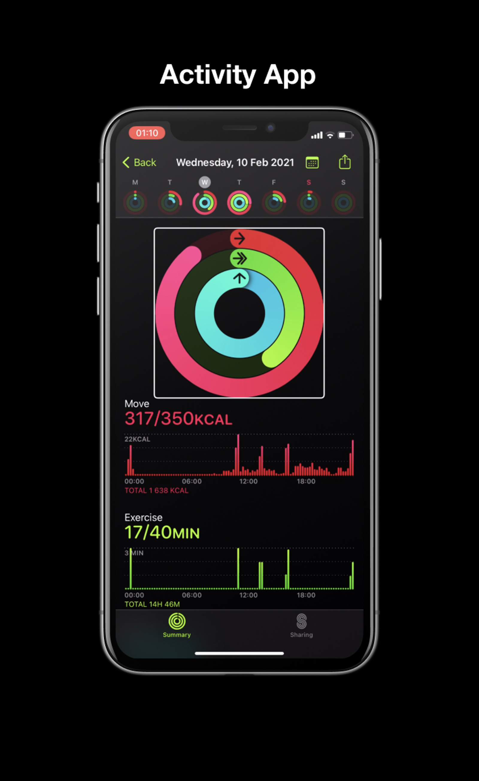 Apple Activity app: small donut charts for activity every day of the week, large donut chart for current day, bar chart for the current day broken down by the hour