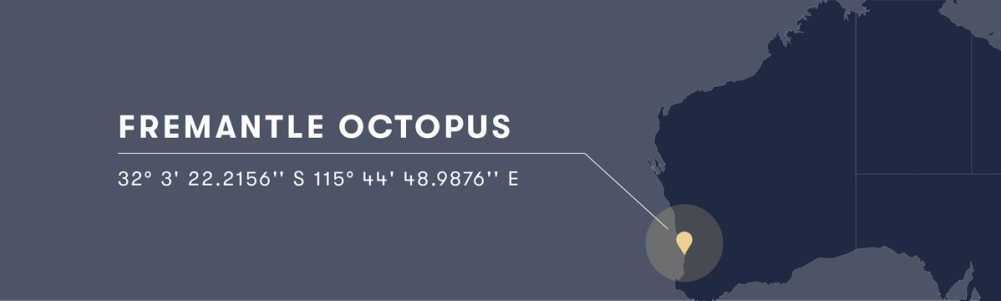 Graphic of Australia with latitude and longitude of Fremantle Octopus.