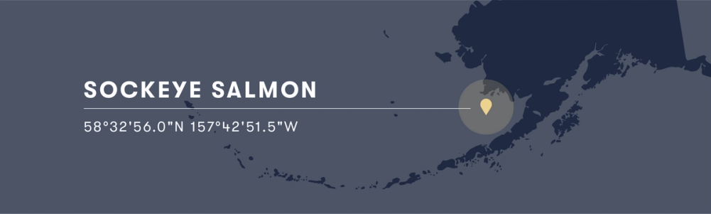 Graphic of Alaska with latitude and longitude of King Salmon.