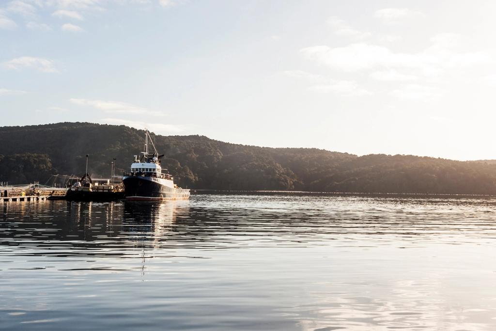 A fishing boat in Big Glory Bay.