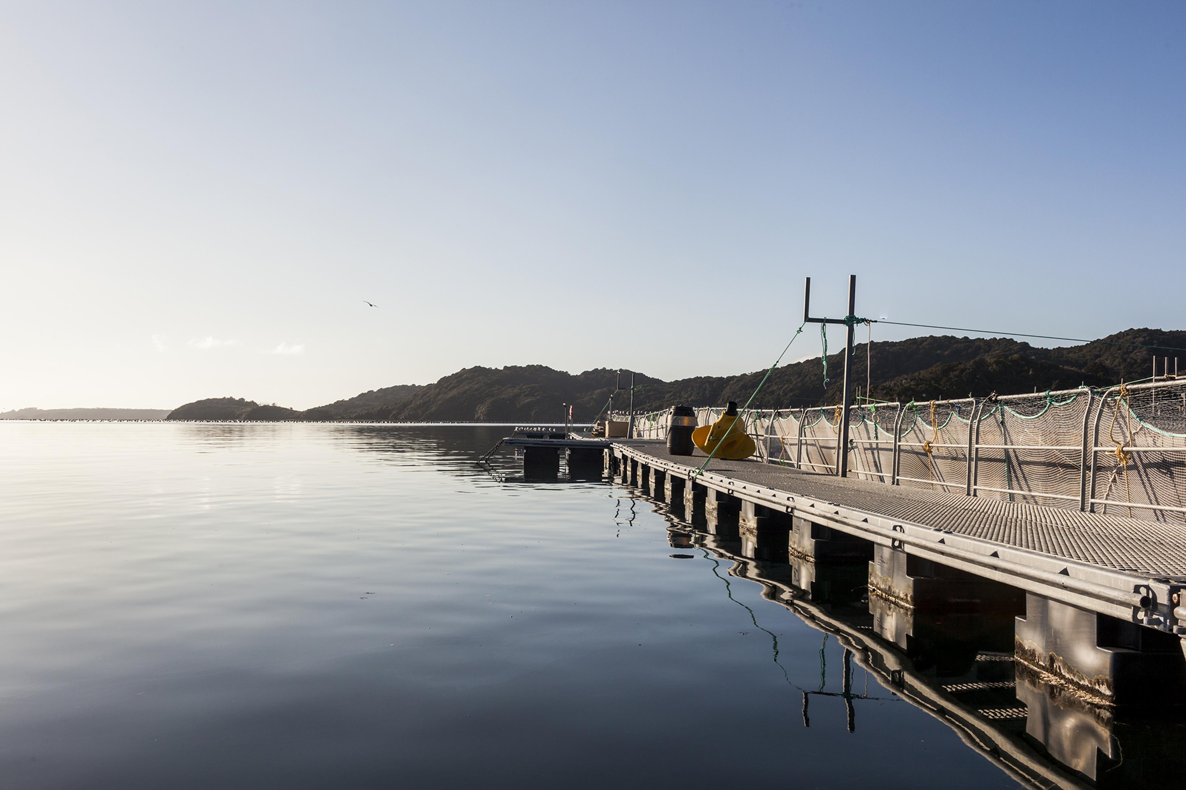 Calm water and a dock at Big Glory Bay.