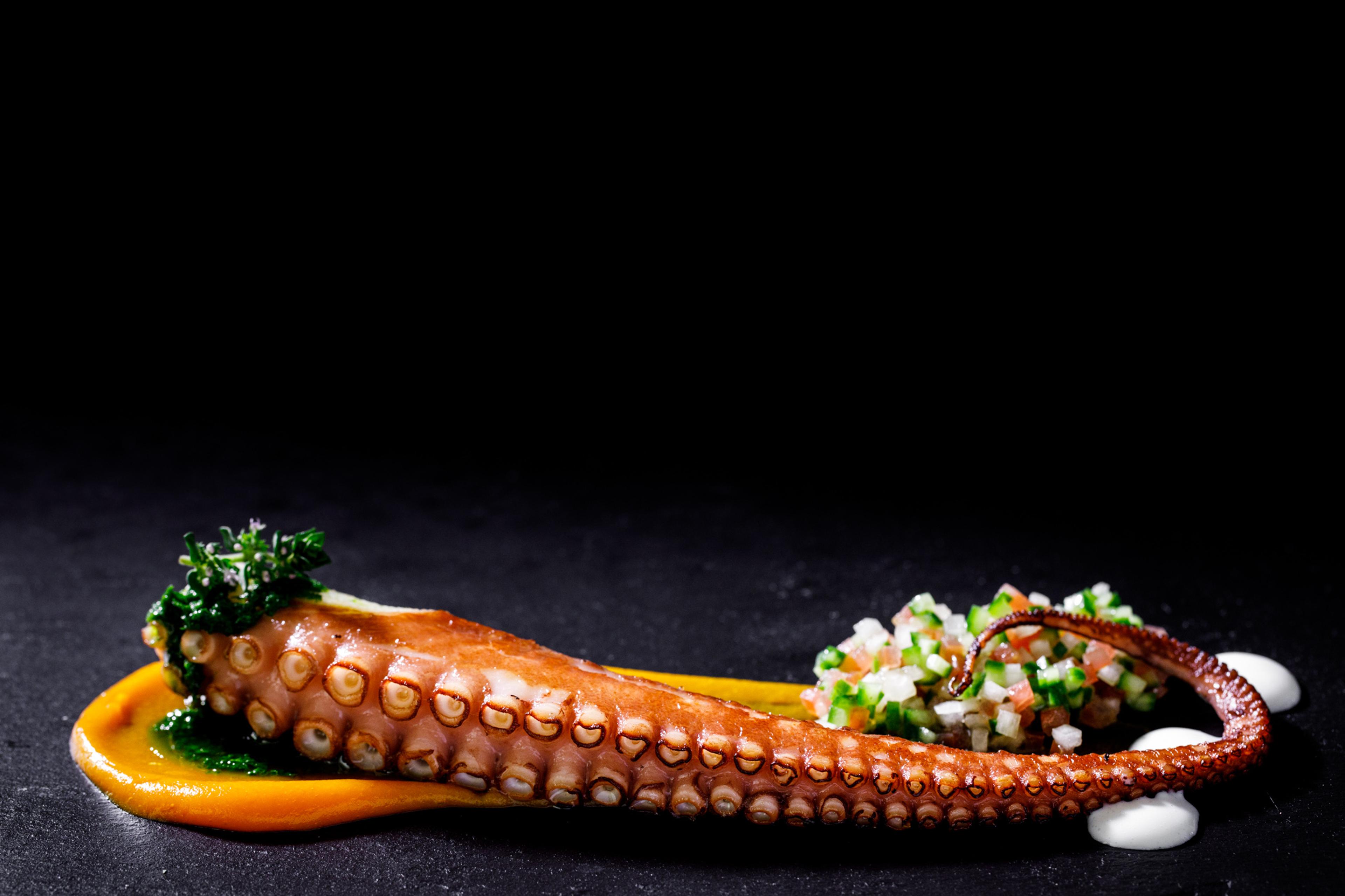 Octopus tentacle with garnish and sauce.