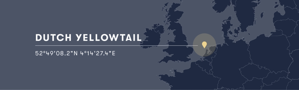 Graphic of The Netherlands with latitude and longitude of Dutch Yellowtail.