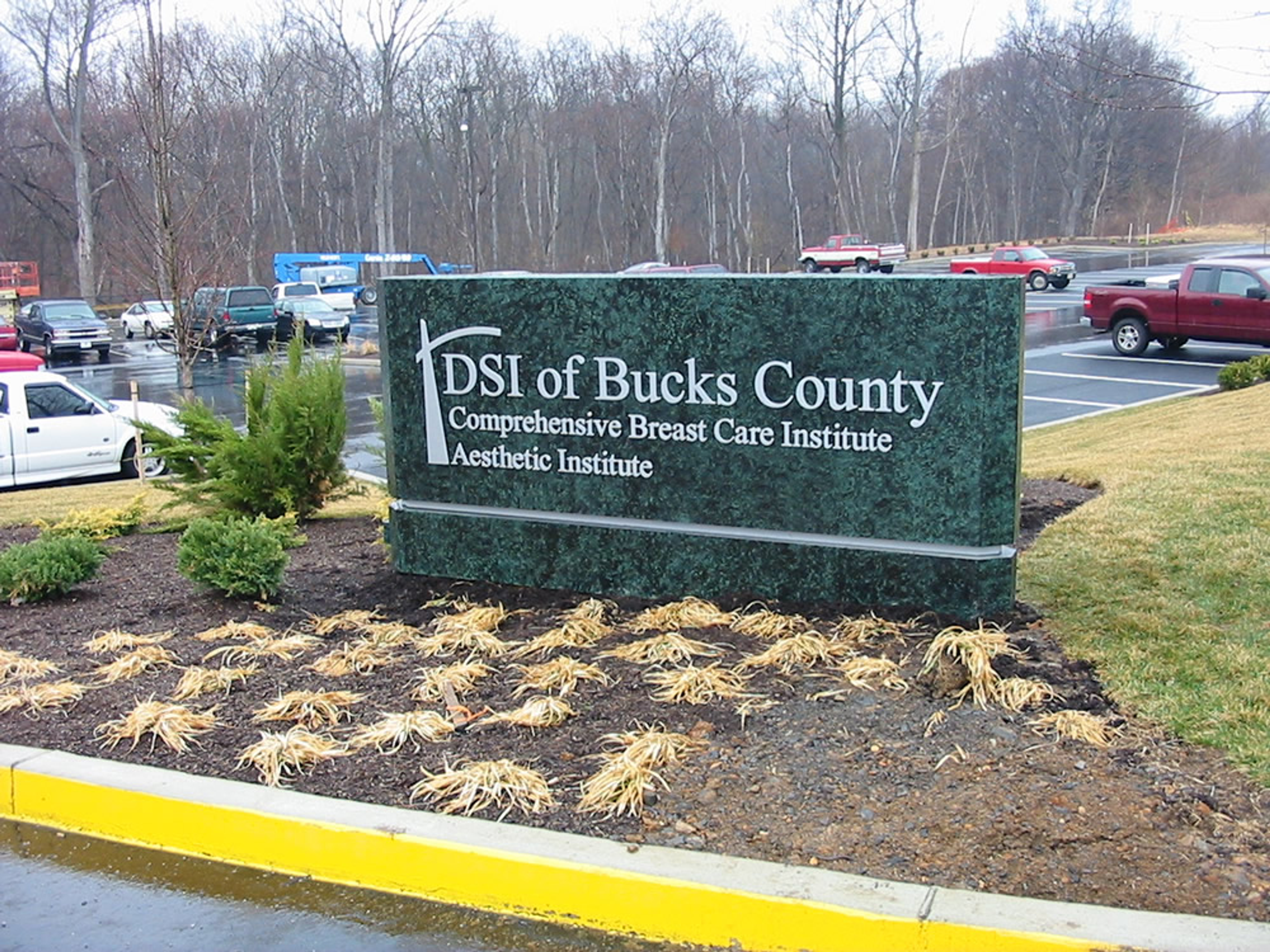 DSI of Bucks County