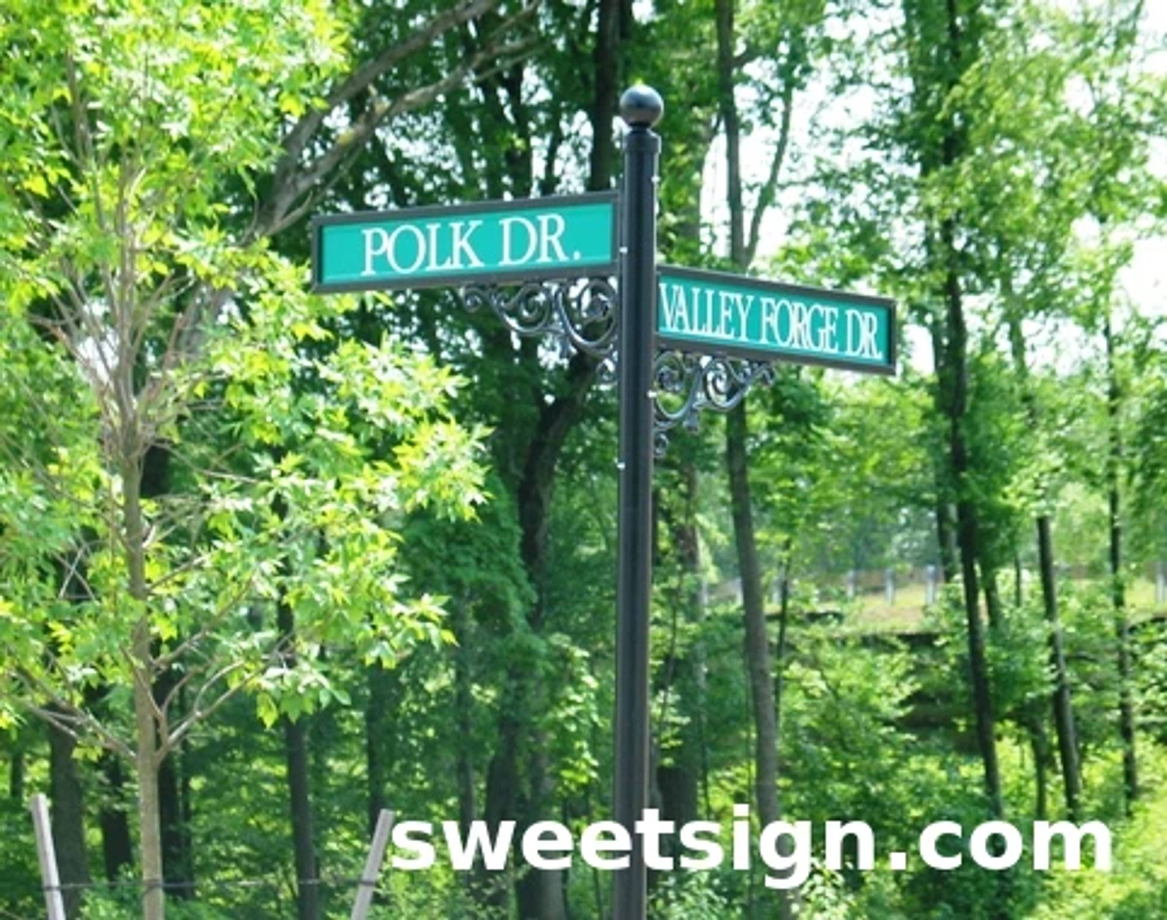 Decorative street signs for Polk Dr and Valley Forge Dr
