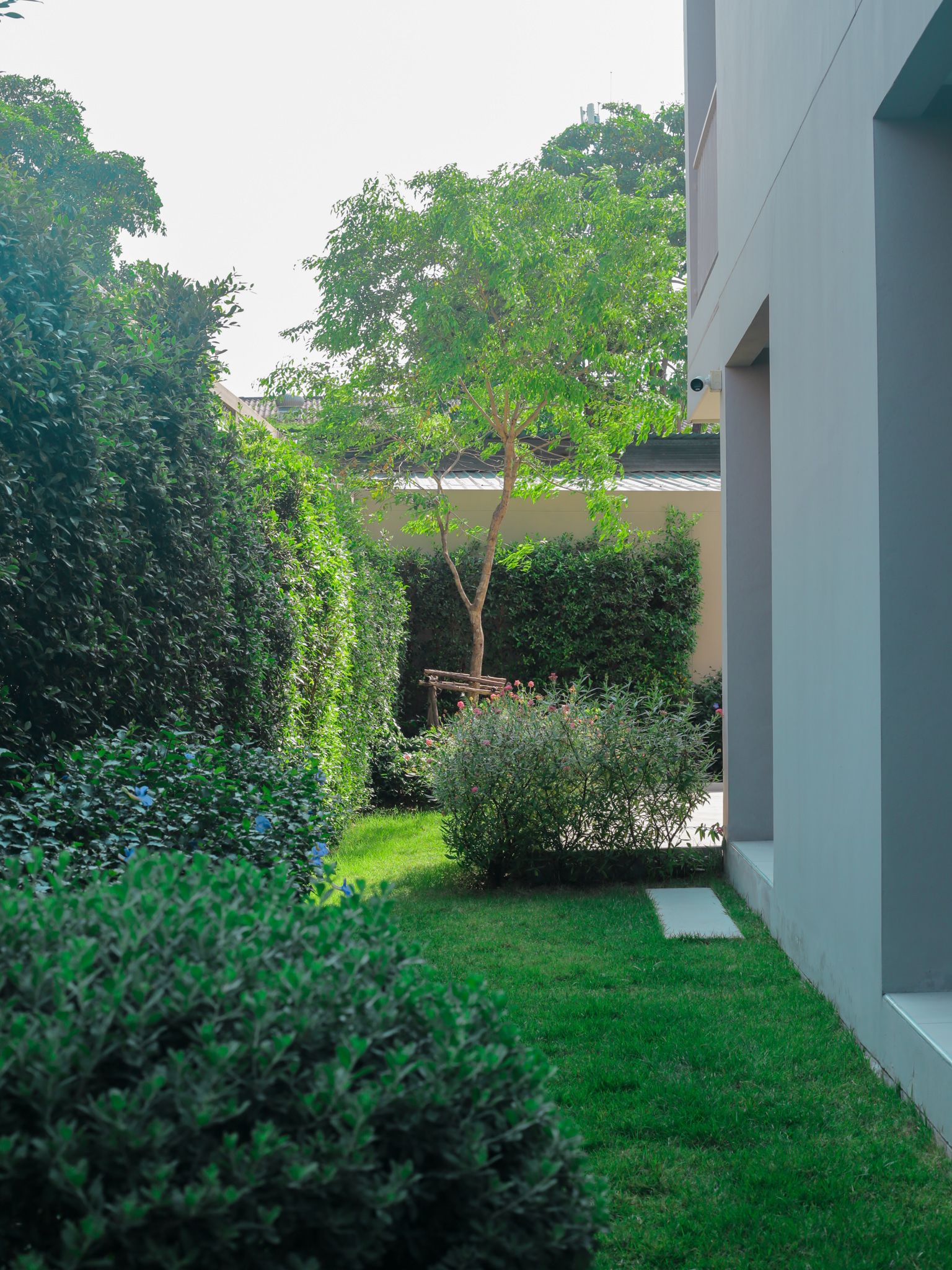 Care gallery photo 1