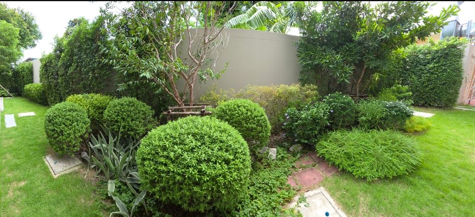 Care gallery photo 2