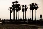 Venice Beach