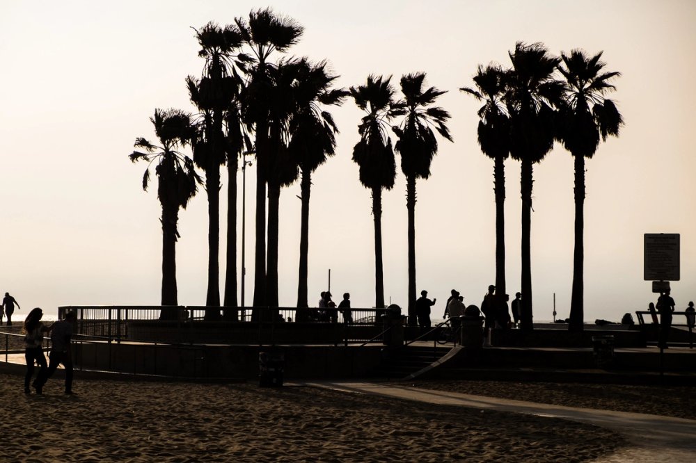 Venice Beach
