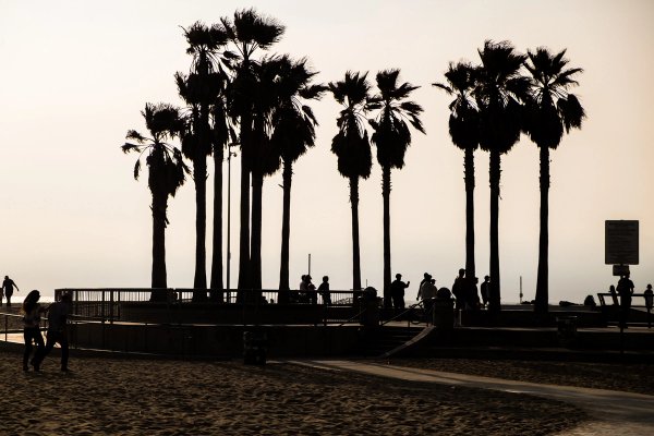 Venice Beach