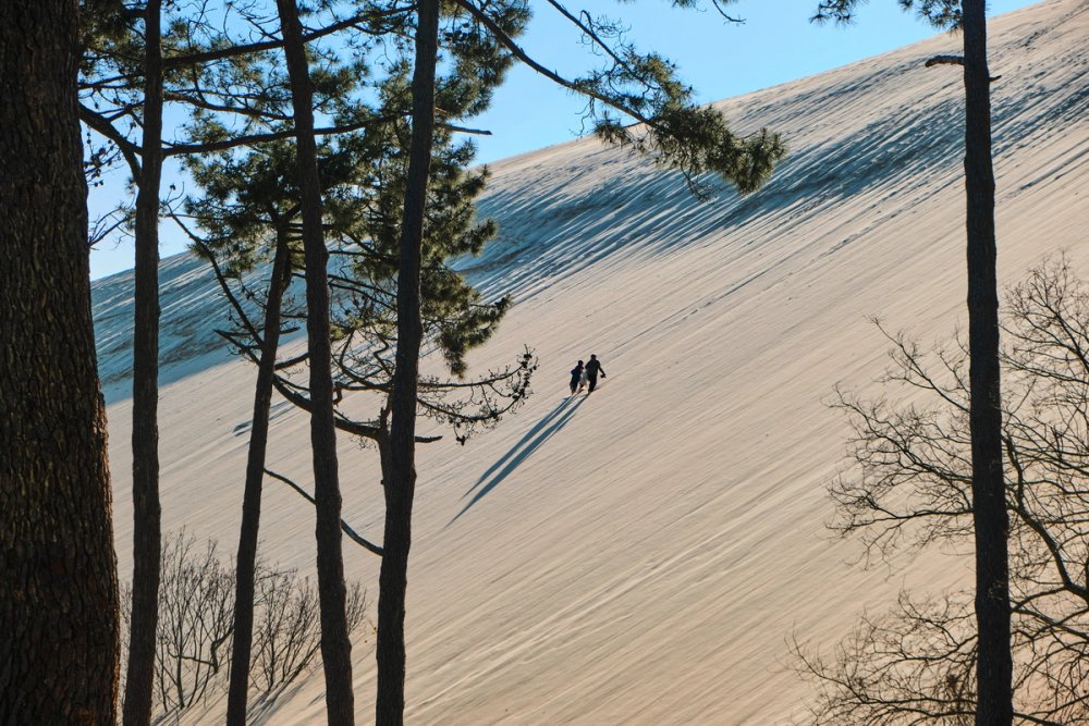 Dune du Pilat