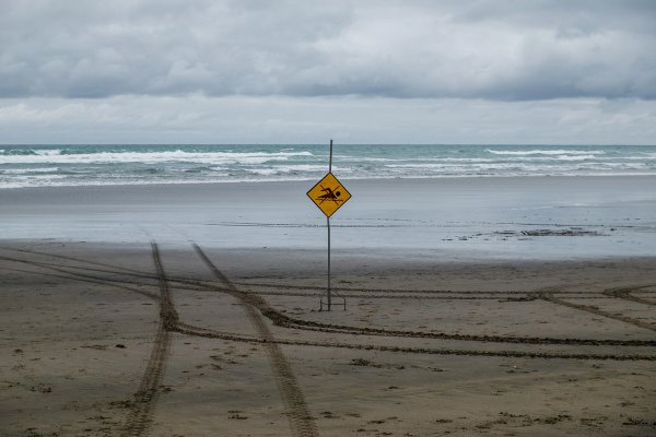 Piha Beach