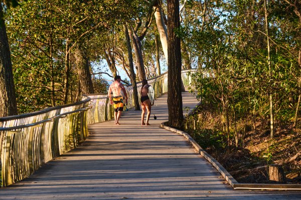 Noosa surfers