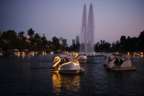 Echo Park swans