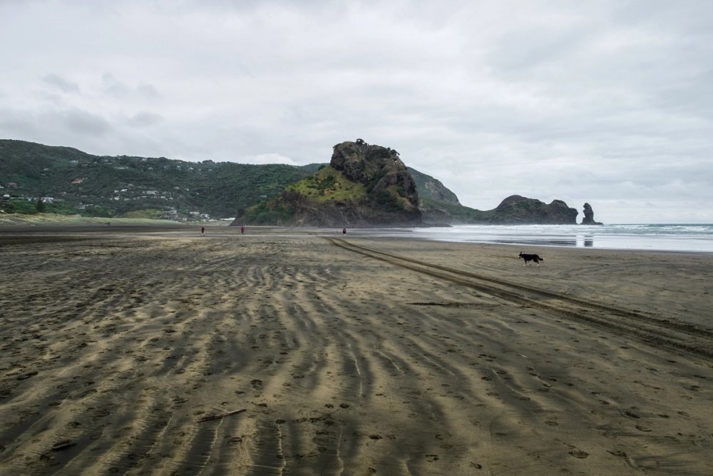 Piha Beach