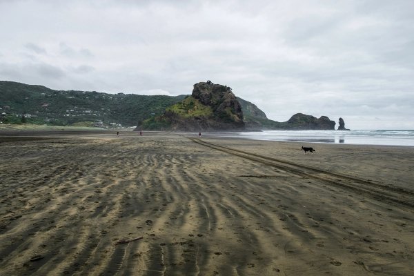 Piha Beach