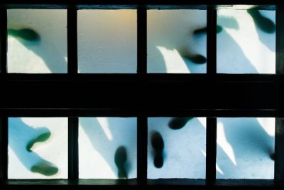 Graphic Matter cover image