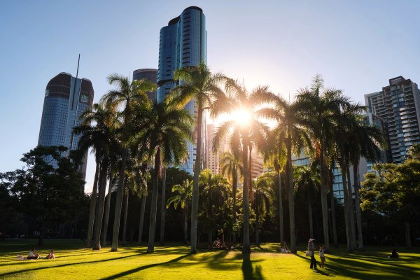 Brisbane Botanic Gardens