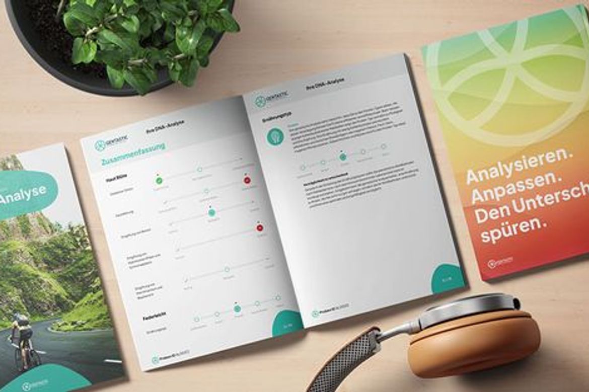 Example image of the generated pdf report.