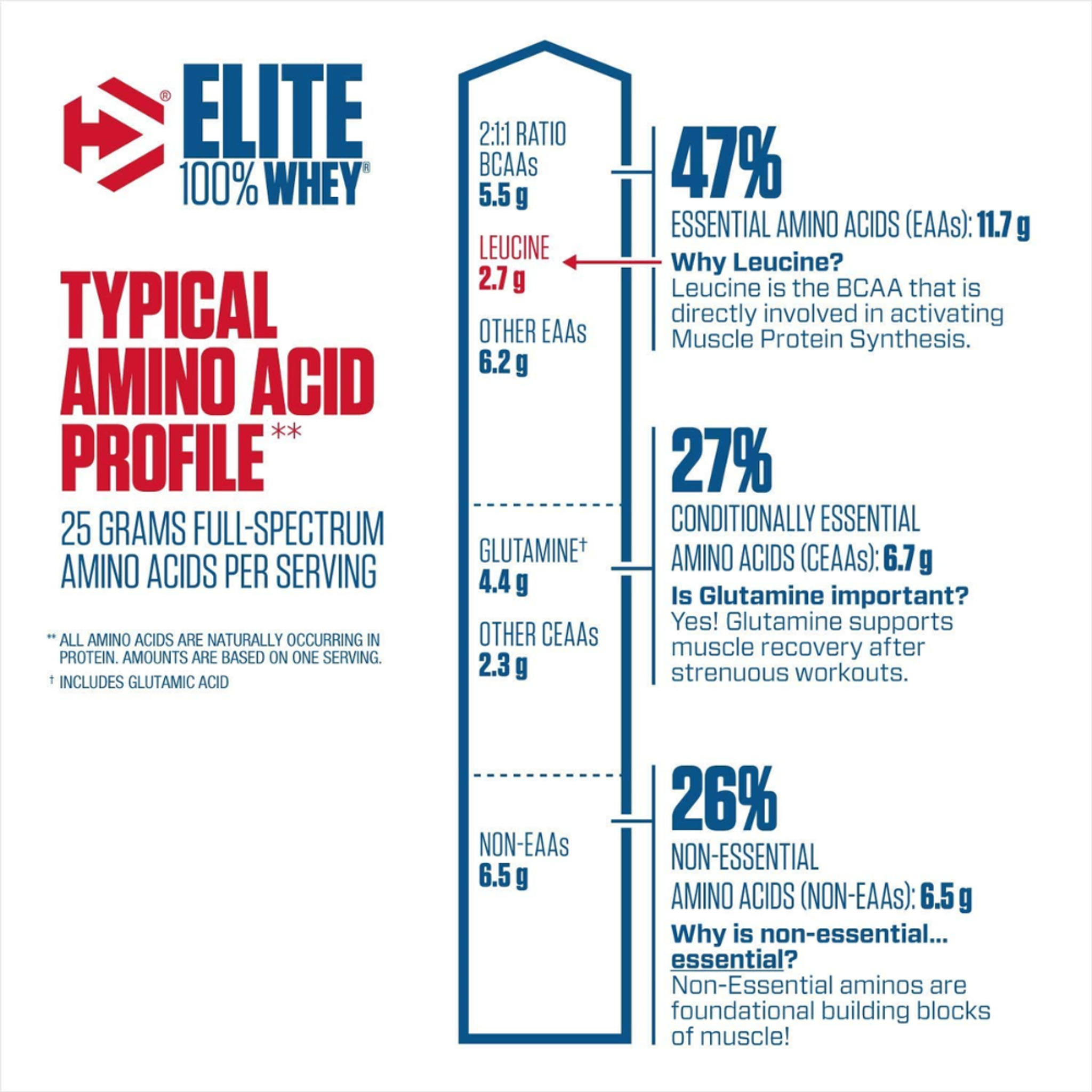 ข้อมูล Amino Acid Profile ของ Dymatize Elite 100% Whey Protein