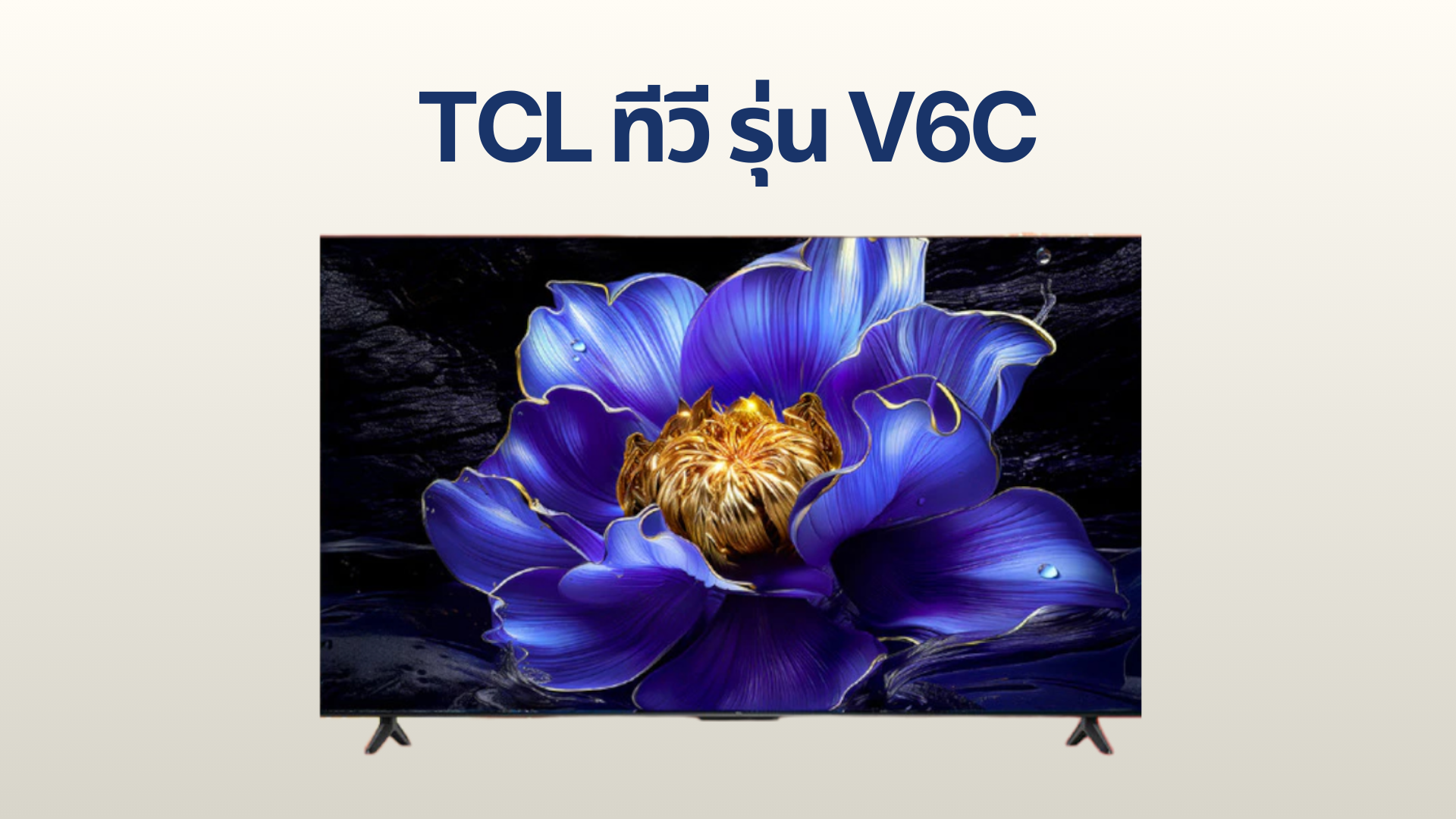 รูปภาพหน้าปก TCL รุ่น V6C