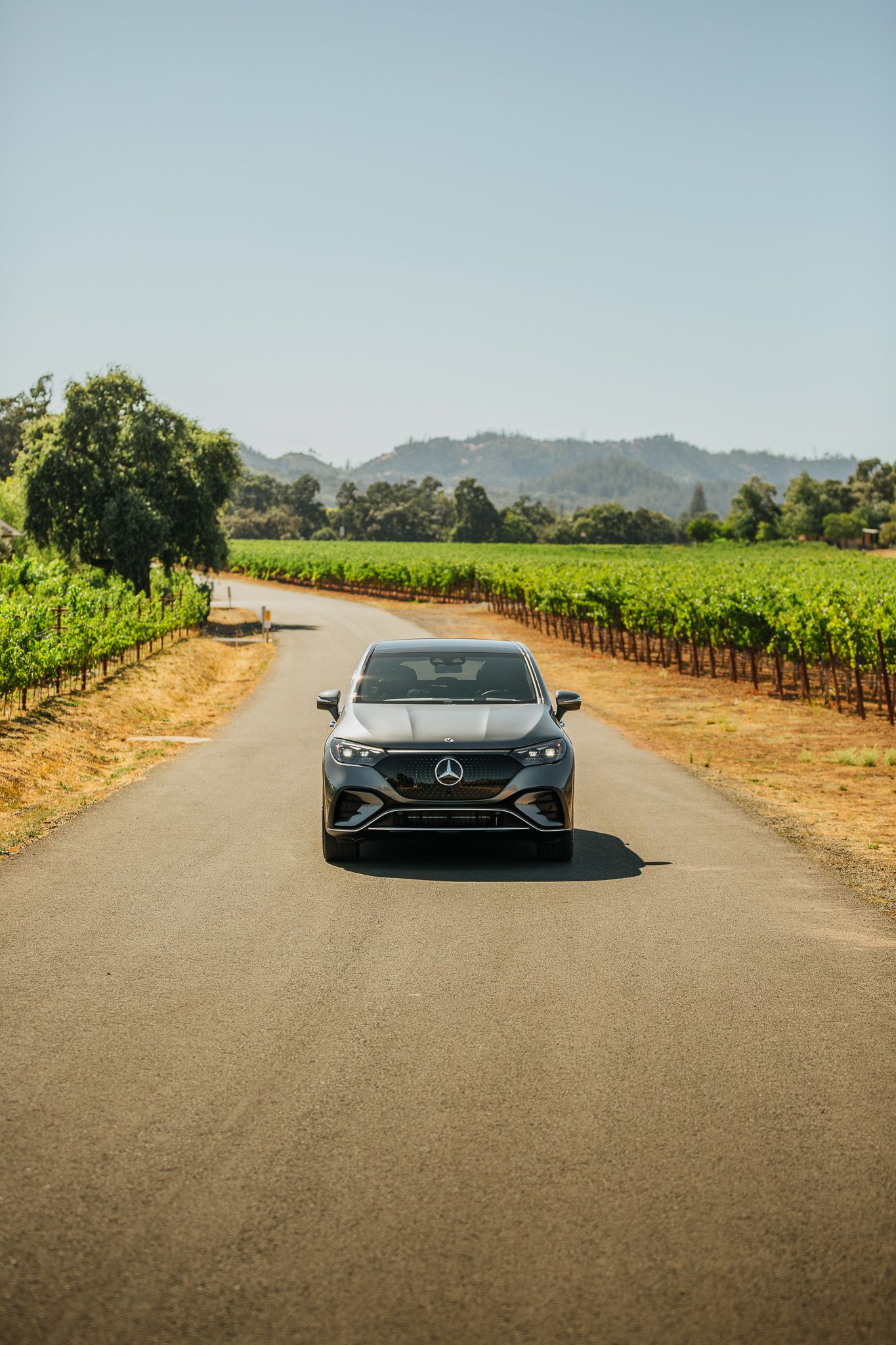 Mercedes-Benz Test Drive Experience