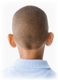 How Organic Food Prevented a School Shooting