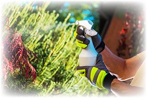 Nearby farmers, landscapers, or neighbors spray pesticides and herbicides. I think my family is getting sick because of them. What do I do?