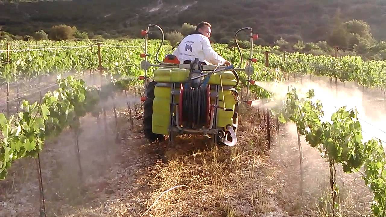 Pesticides Proven to Change the Taste of Wines