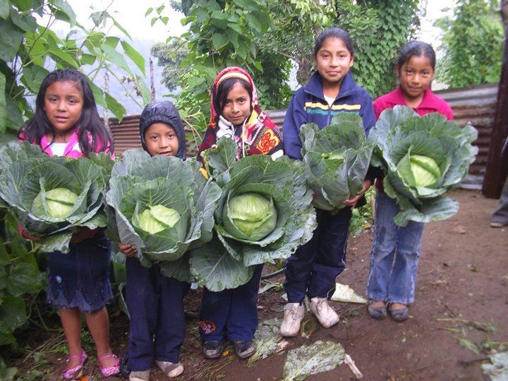 Does Organic Cost Too Much?