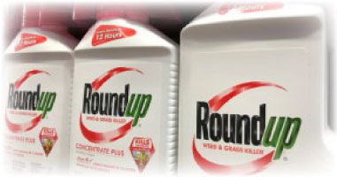 Objection to Judge Shubb's Ruling on Cancer Warnings and Glyphosate Herbicides