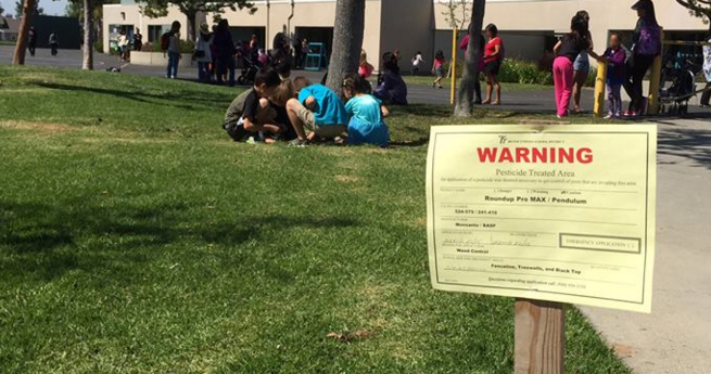 CA City Sets Organic Precedent over Toxic Chemicals