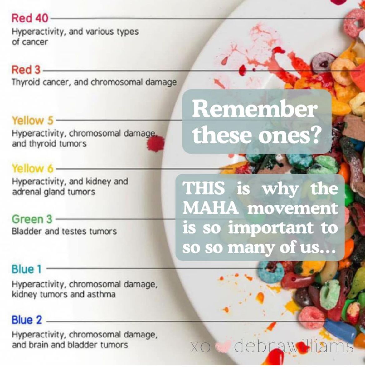 Food Dyes, Pesticides, Toxins, and Our Meeting with the FDA