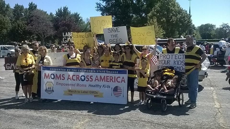 4th of July MAAM 2014