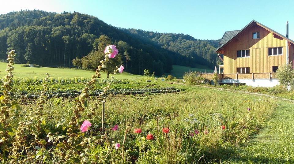 International Demonstration Against GMOs and Corporate Control in Zurich