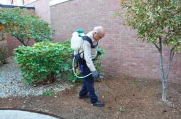 Pesticide Map Shows How Much Poison is Sprayed in CA Towns