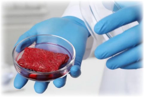 Unveiling Lab-Created Meat