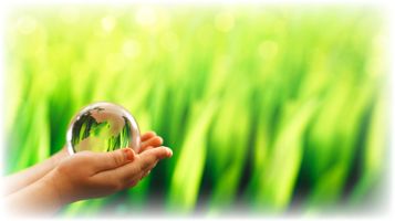 Fighting Climate Change with Plants