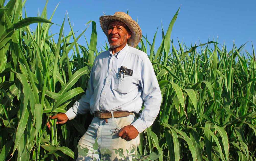 Black Farmers Association Sues Bayer to Stop Selling Roundup