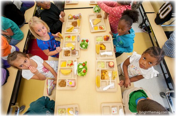 School Lunch Testing Program