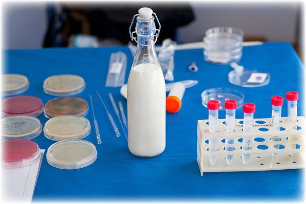 The Truth About Synthetic Milk: What’s Inside That Has Never Been Consumed or Safety Tested