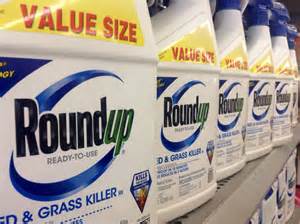 CA EPA Considers Labeling Glyphosate ( Roundup) a Carcinogen