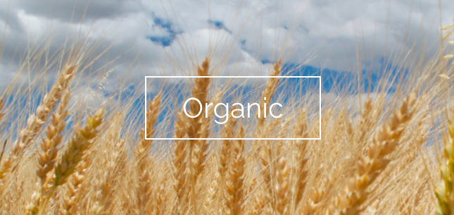 Make a Difference for your Family and Organic Farmers