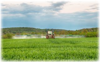 USDA Greenlights GMO Wheat Without FDA GRAS Approval