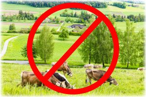 The Tug of War Between Traditional Farming & Corporate-Produced Food: Part One