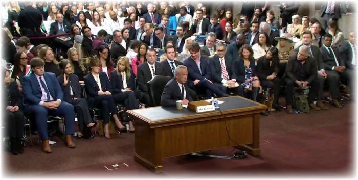 Kennedy for Head of HHS Being in the DC Hearings - A Mom’s Perspective