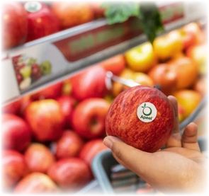 Getting the Word out about 'Apeel'