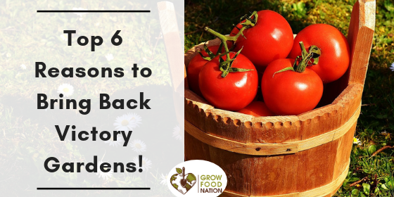 Top 6 Reasons to Bring Back Victory Gardens