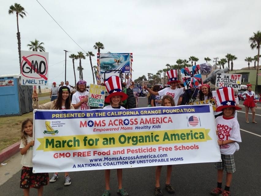 2015 A Year of Great Strides