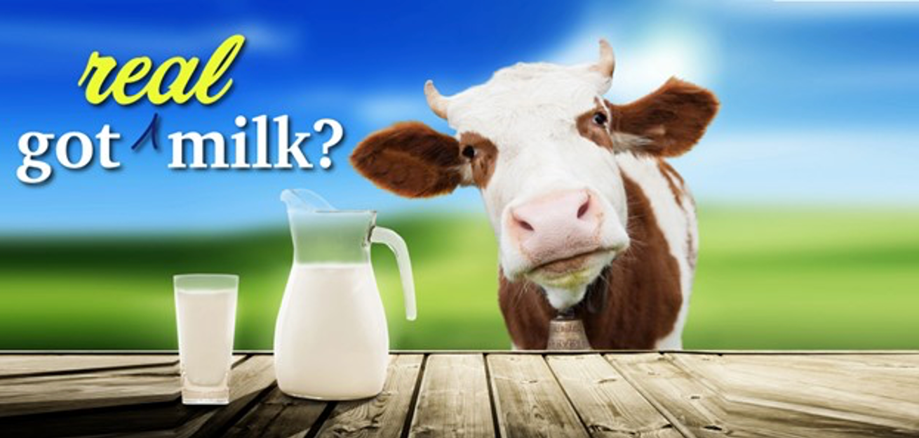 Baby Formula Toxic Metals Results Released